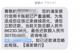 日喀则专业讨债公司有哪些核心服务？